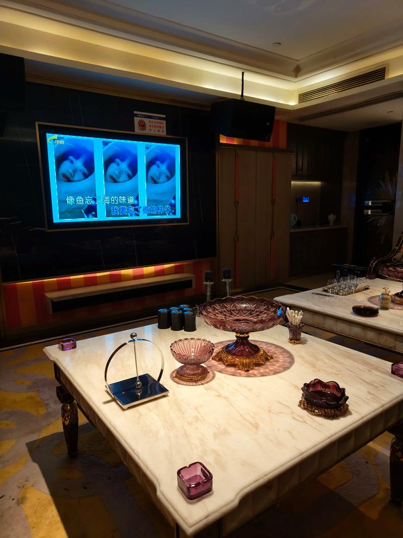 三亚商务ktv性价比高推荐-崖州区ktv预订